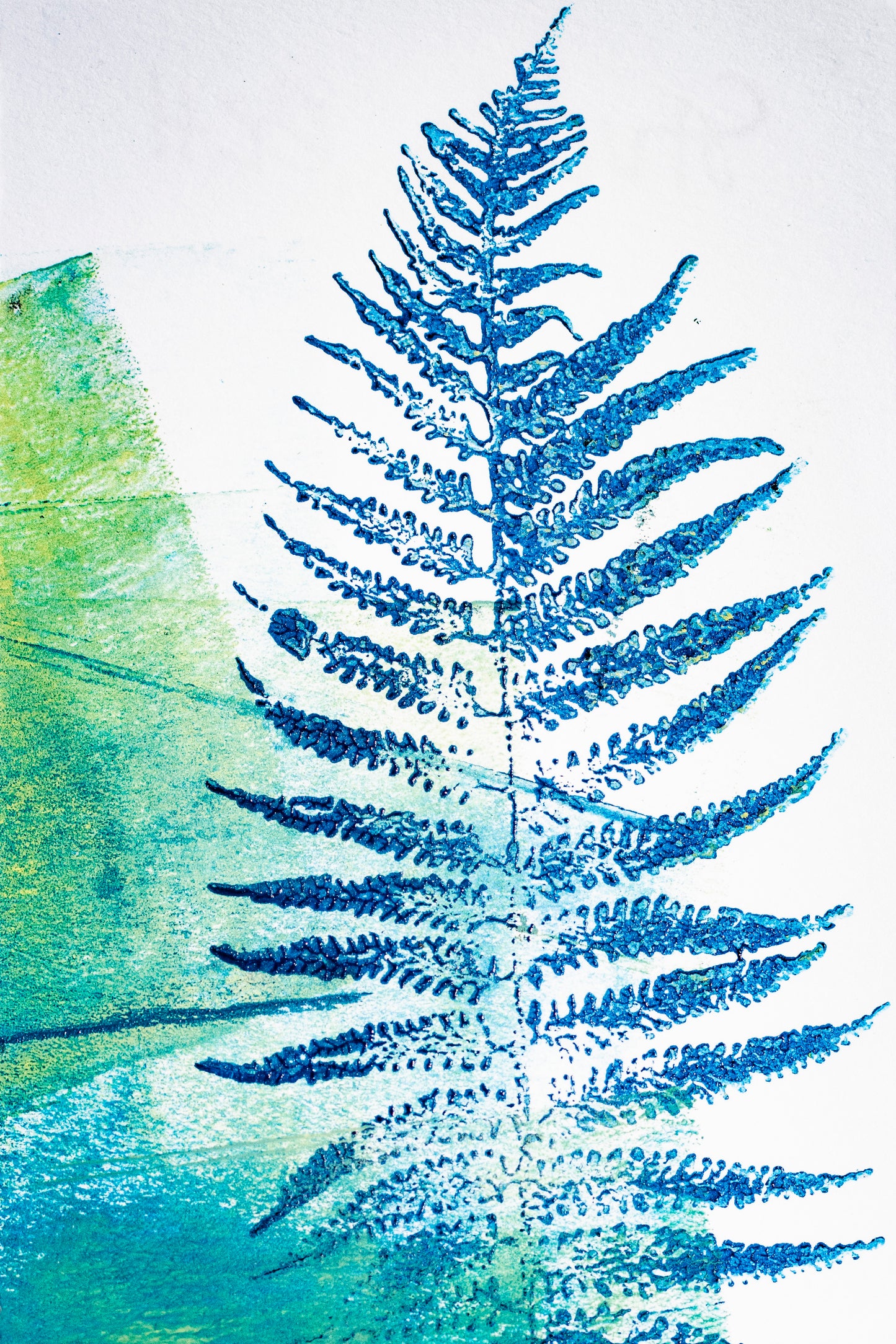Blue Fern