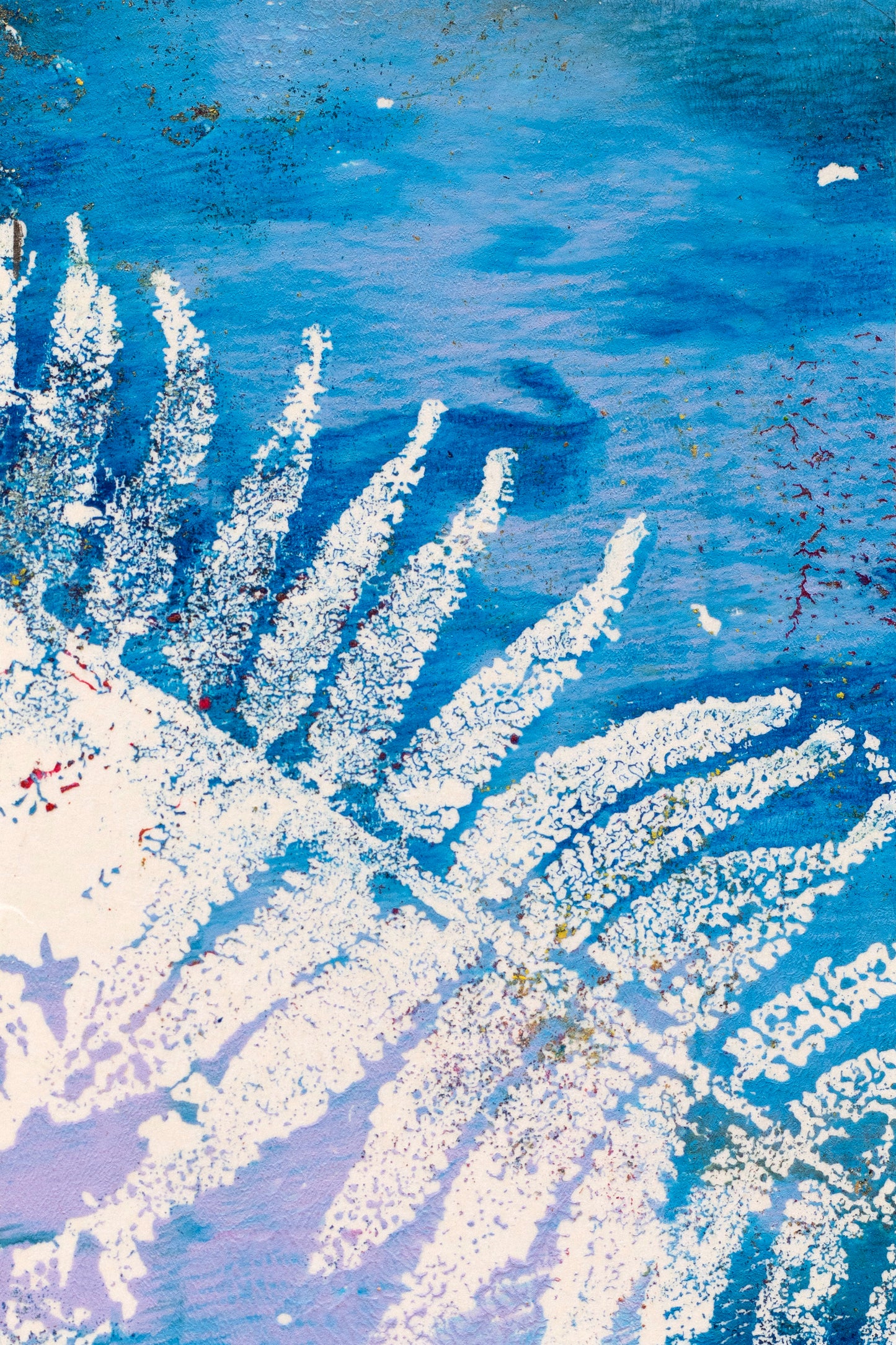 White Fern