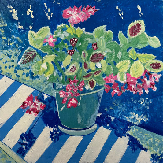 Geraniums on Blue Stripe